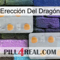 Erección Del Dragón 25